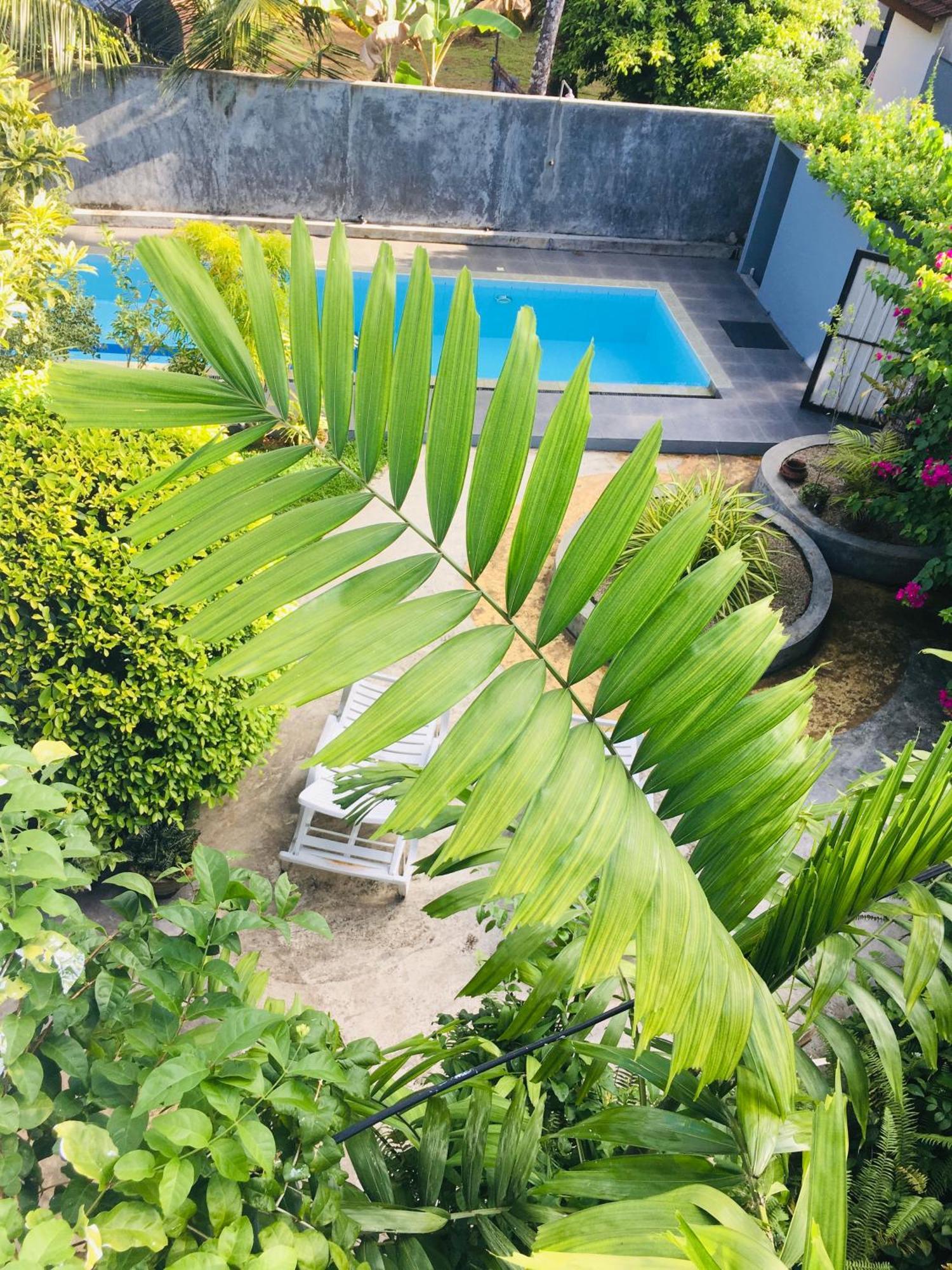 Om Villa Hikkaduwa Bagian luar foto